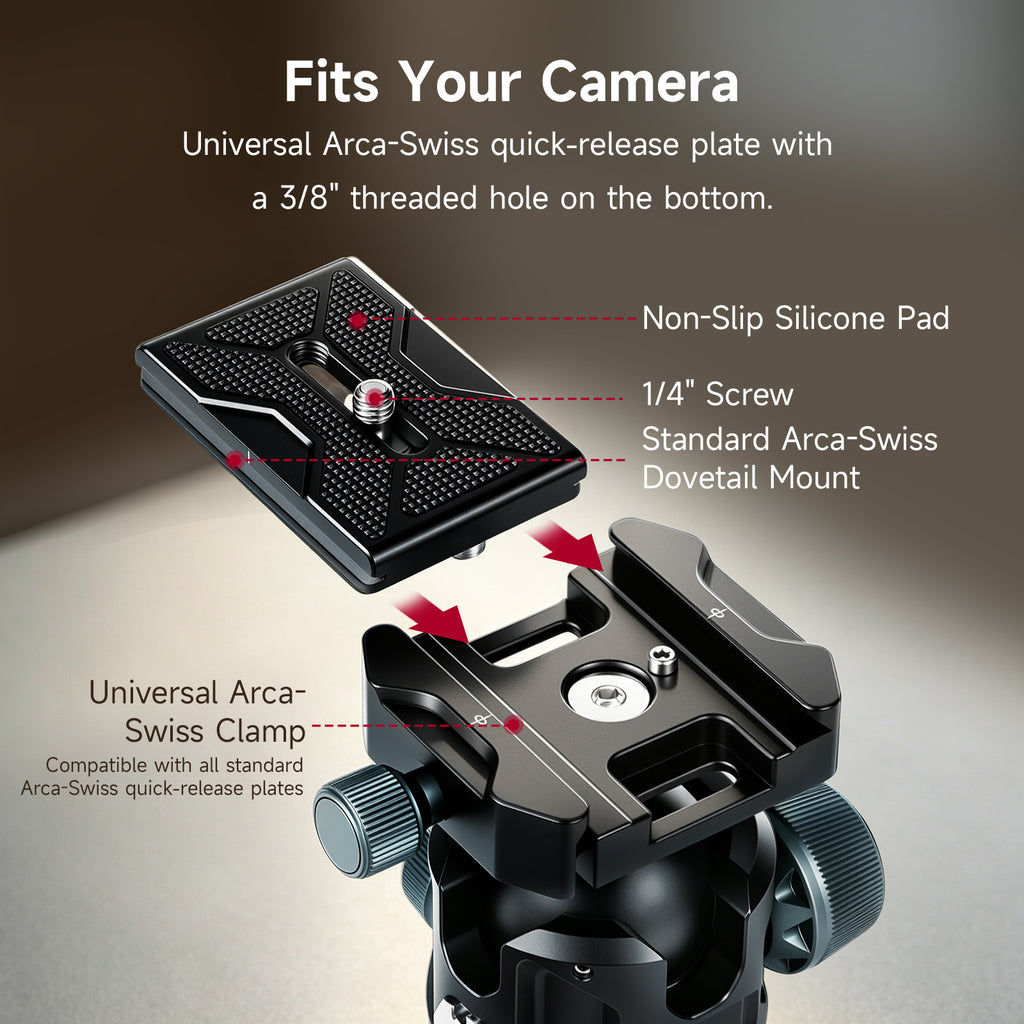 XILETU G-36 Metal Low‑Profile Ball Head, ARRI Locating Hole & Side 1/4" Port, Dual‑Device for DSLR Mirrorless Vlog Live Streaming